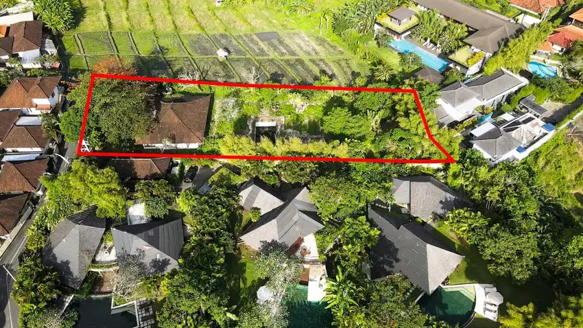 Langka! Tanah View Sawah di Kuwum, Umalas Dekat Canggu dan Seminyak