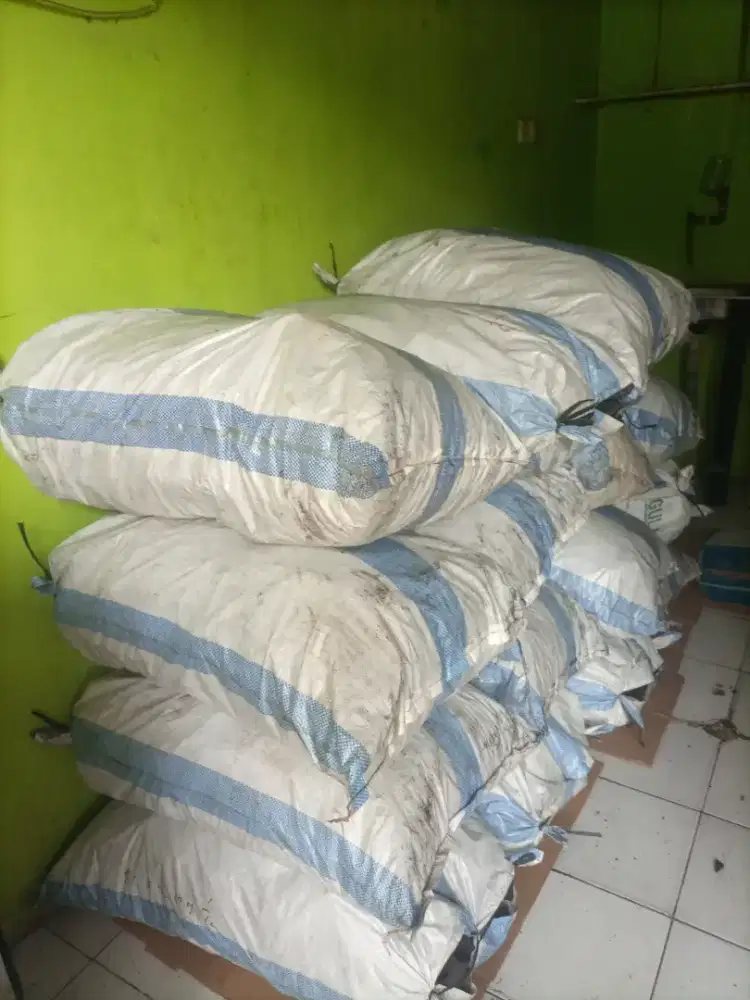 Areng kayuu jumbo istimewa