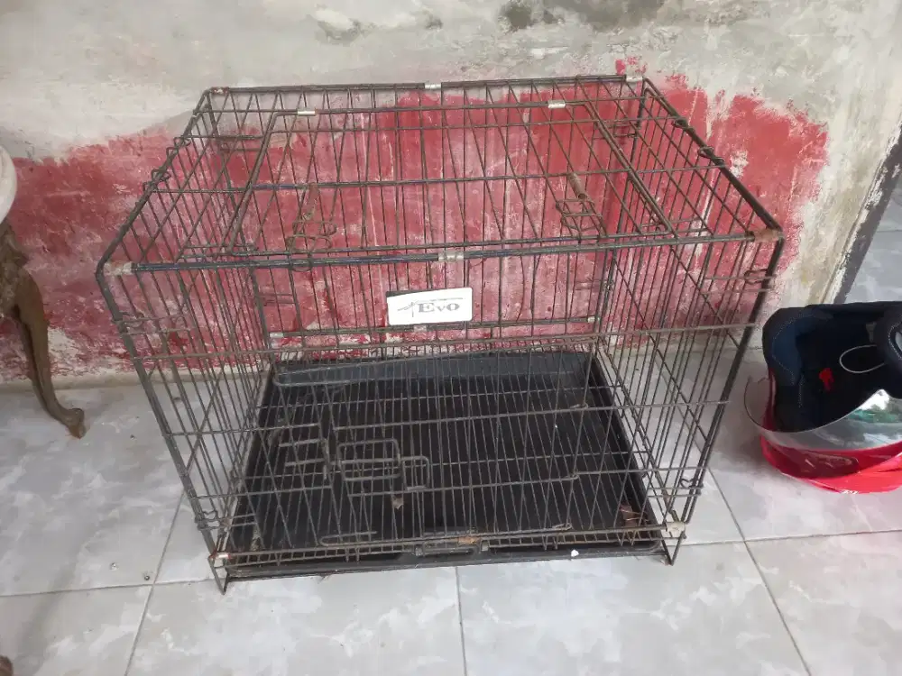 Kandang Hewan Peliharaan. kucing, burung & anak anjing