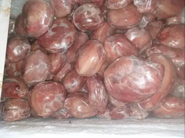 Daging Kelinci Karkas Frozen Daging Kelinci Pakan Hewan