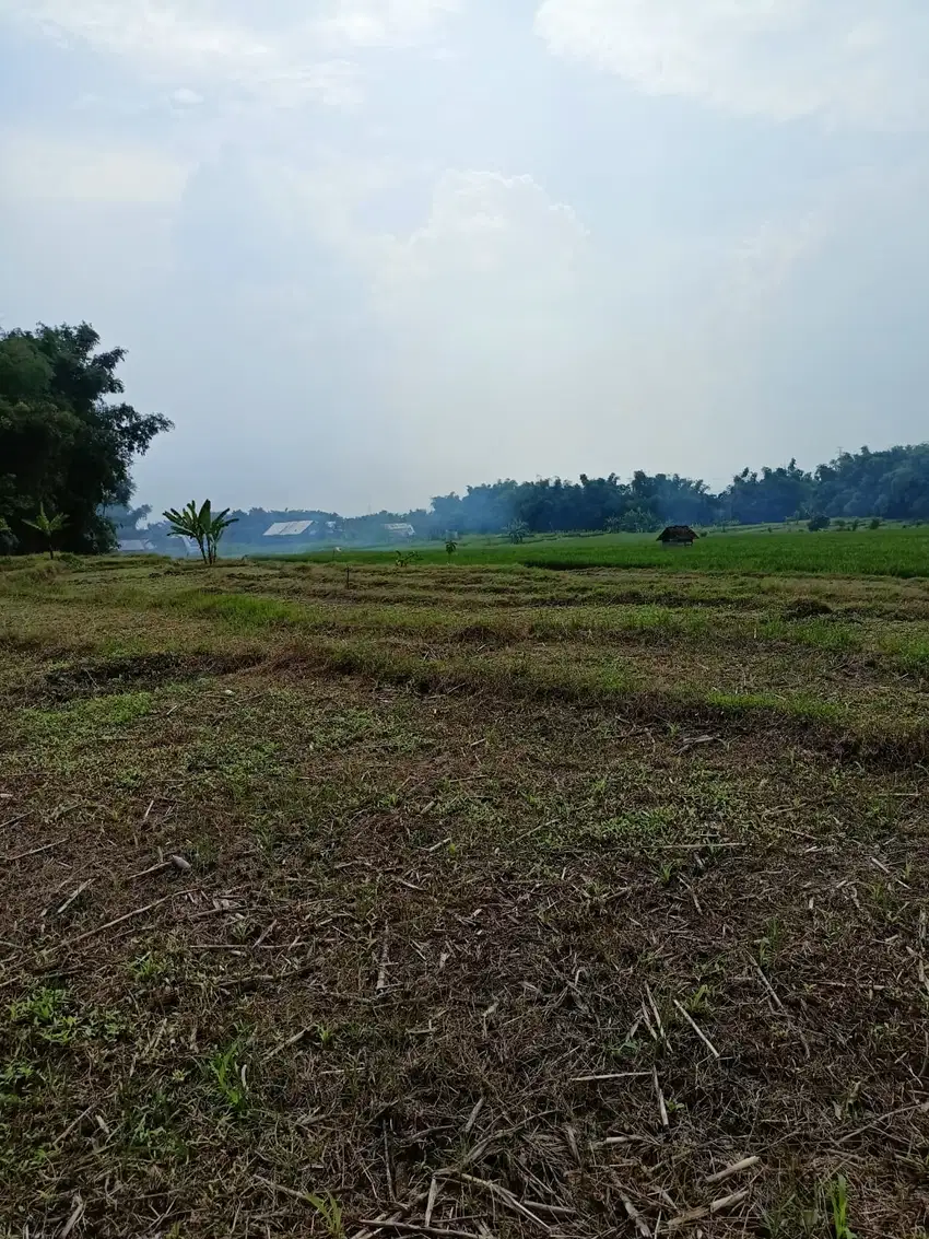 Tanah di Pacet ngantong bawa hoki cocok utk Villa dekat wisata Padusan