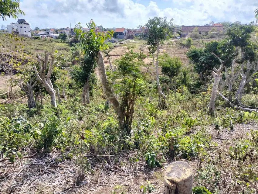 Dijual Tanah 15,80 Are di Jl. Langui Kauh - Ungasan.