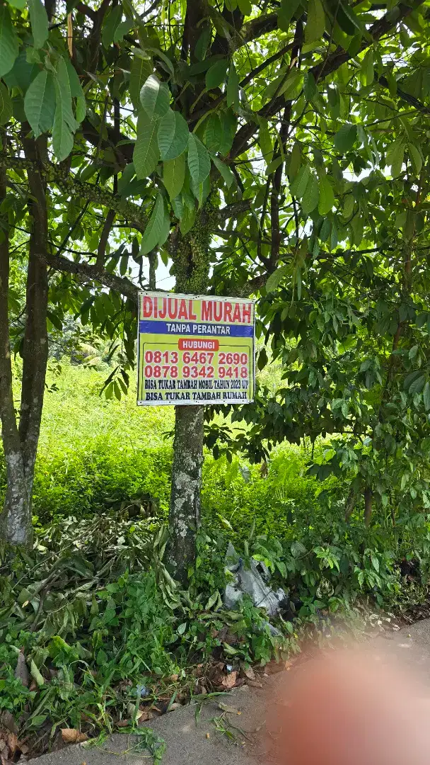 Di jual cepat, Murah, Bisa TT dg inova/CRV  2023up Nego sampai jadi