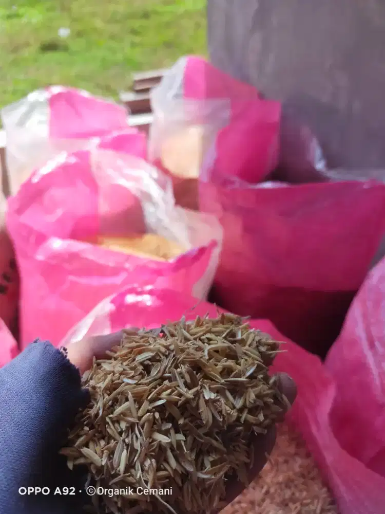 Media tanam sekam mentah