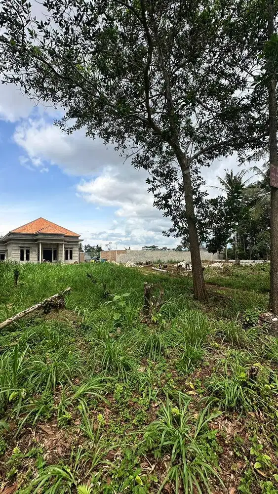 DIJUAL TANAH MURAH DI JATIMULYO , DEKAT ITERA DAN POLDA LAMPUNG