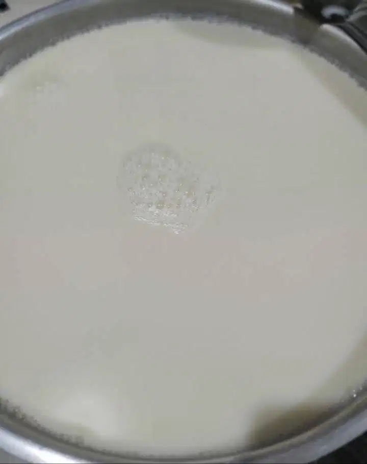 Susu kedelai premium