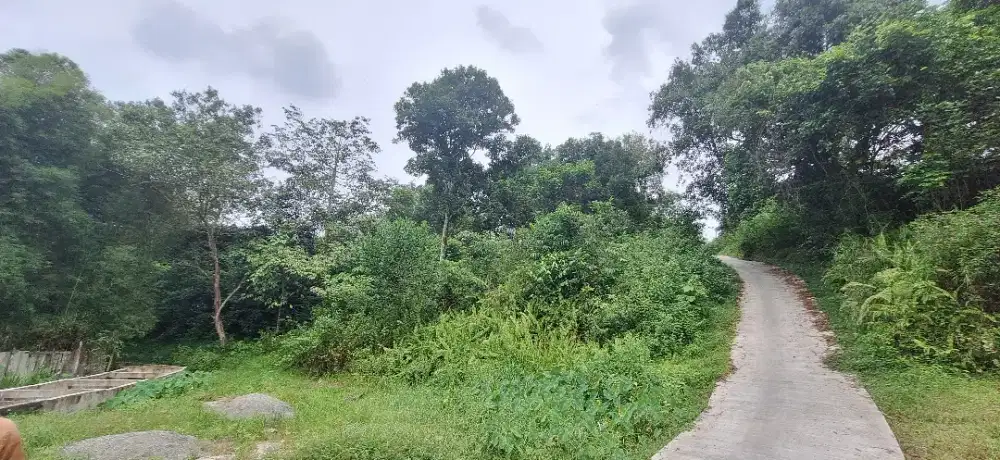 Dijual tanah KM 15 Giri rejo