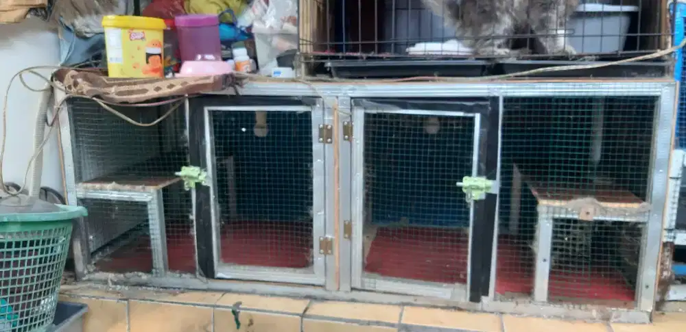 Kandang kucing jumbo