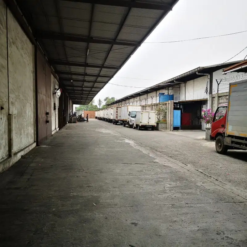 Gudang Kapuk Peternakan Raya Bebas Banjir Lb 700 Dekat PIK bukan SIT