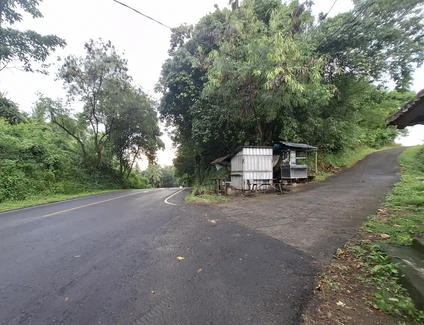 Dijual tanah akses jalan denpasar gilimanuk