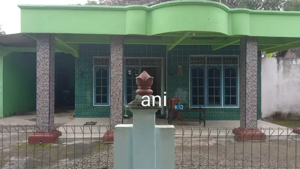 Jual rumah kampung lokasi Utara Plesungan lt 395m hrg 300jt nego