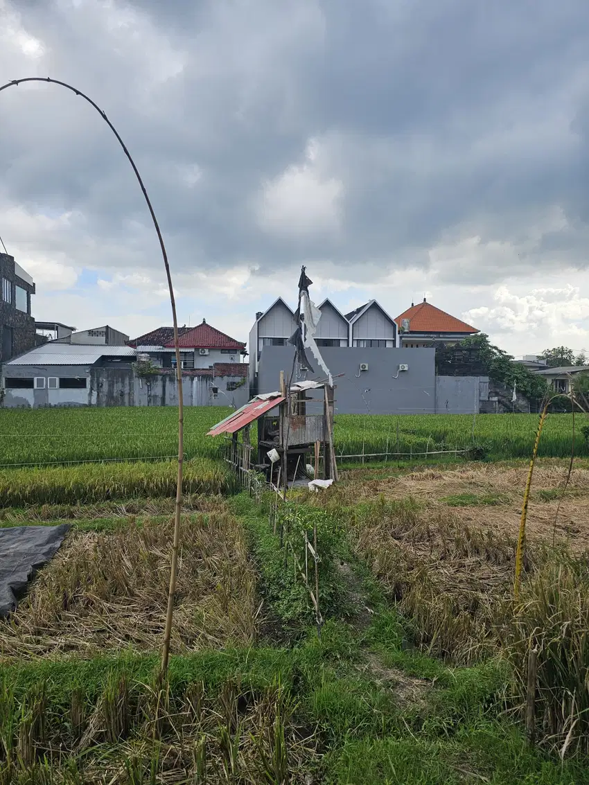 Premium land for rent padonan canggu bali