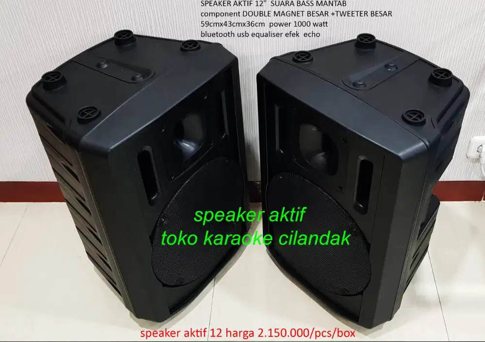 SPEAKER PASIF 12  COCOK UNTUK KARAOKE RESTORAN CAFE SENAM MASJID MUSHO