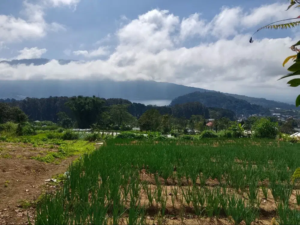 Tanah View Danau & Gunung di Bedugul – 9900 m² terbagi 3 SHM