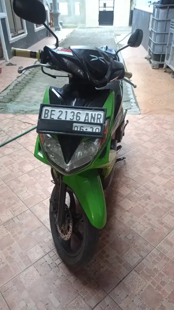 Xeon karbu hijau
