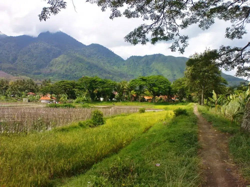 Tanah di Area Wisata Cipanas 10 Hektar, Tarogong Garut