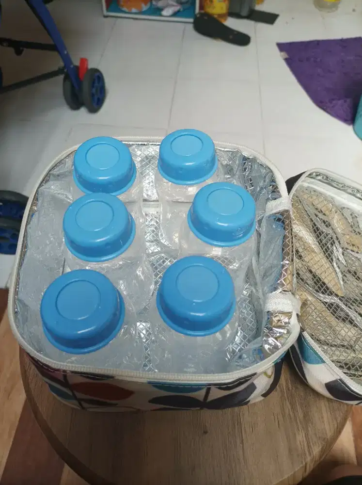 Little giant cooler bag