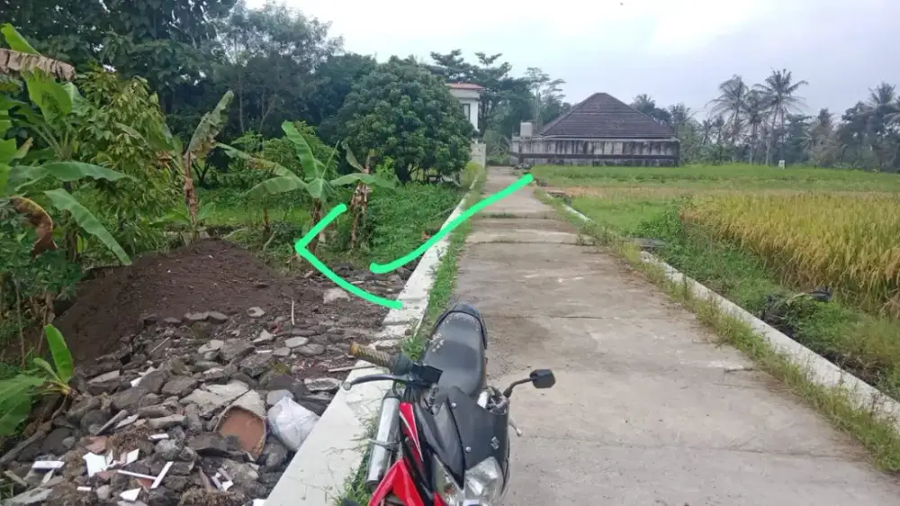 Dijual tanah SHM sawah di jl palagan km 12 kayunan Donoharjo Ngaglik