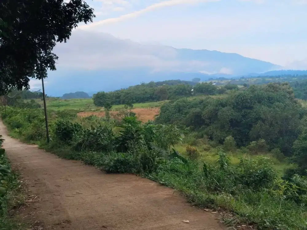 Jual Tanah 800 Mdpl Jalur Pendakian Via Ciawi Puncak Bogor