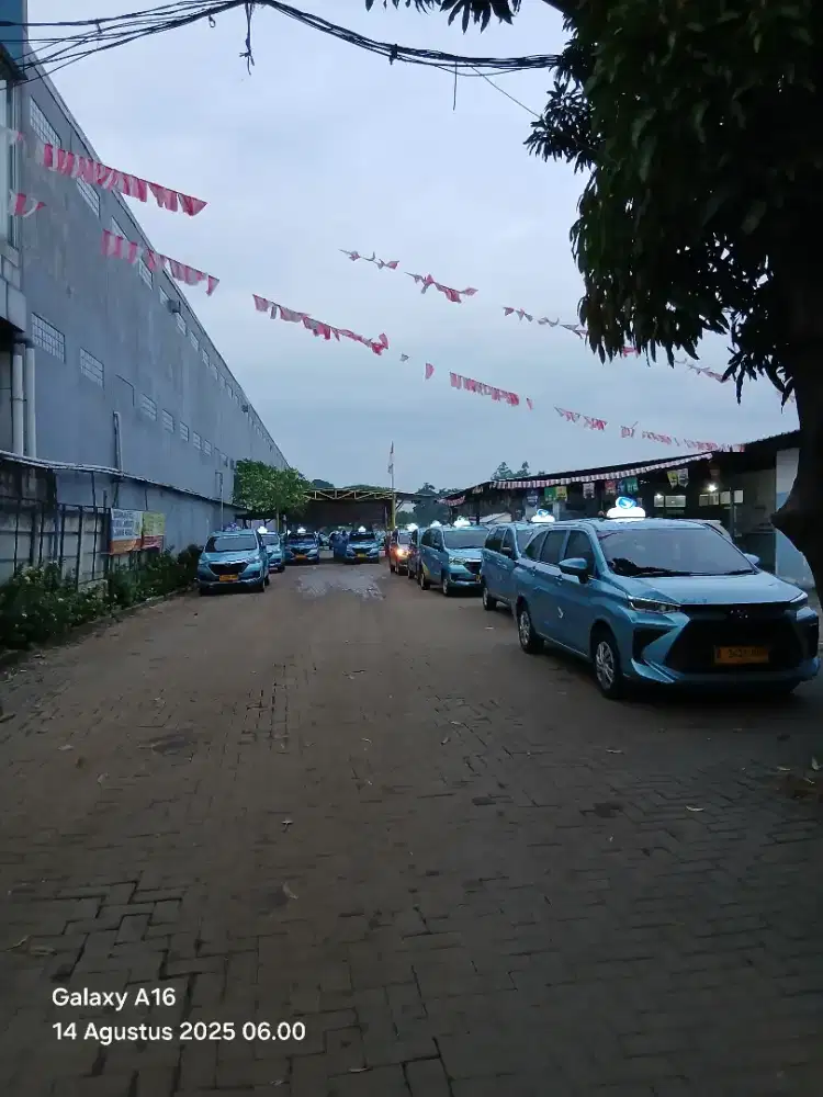 Lowongan Driver Profesional