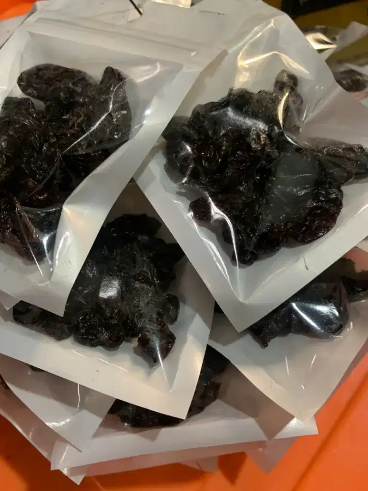 Camilan Sugar Glider