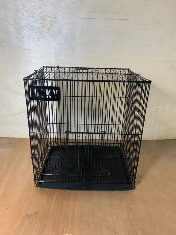 Kandang Sugar Glider