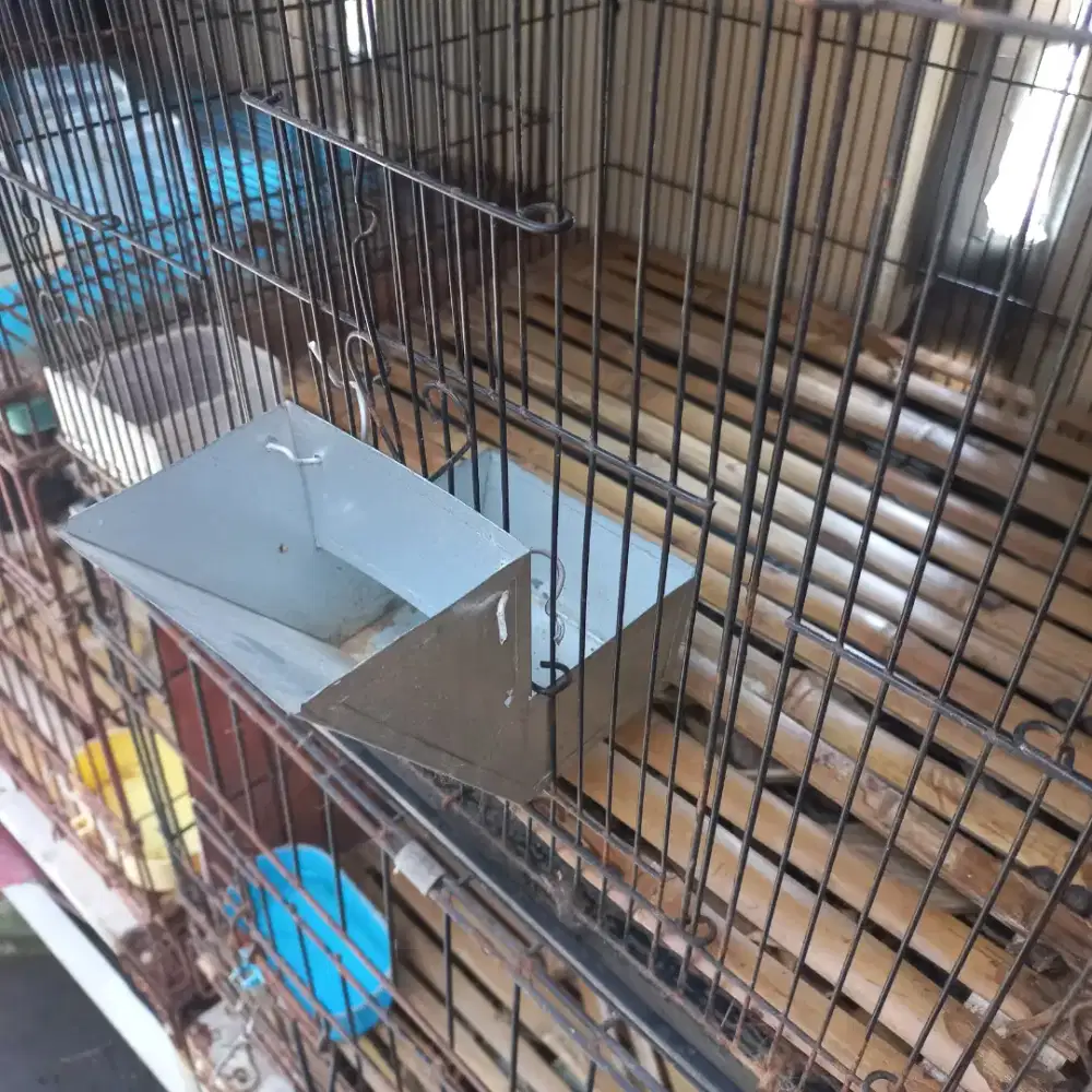 Tempat makan kelinci dan burung