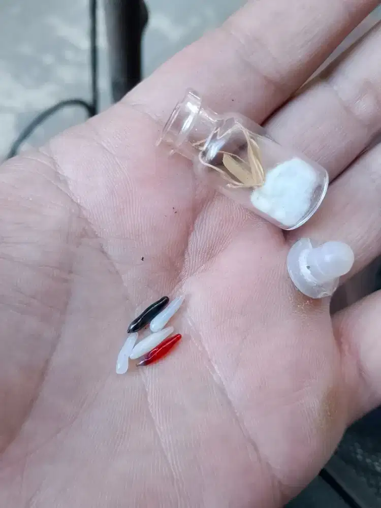 Borongn Batu mustika beras / padi