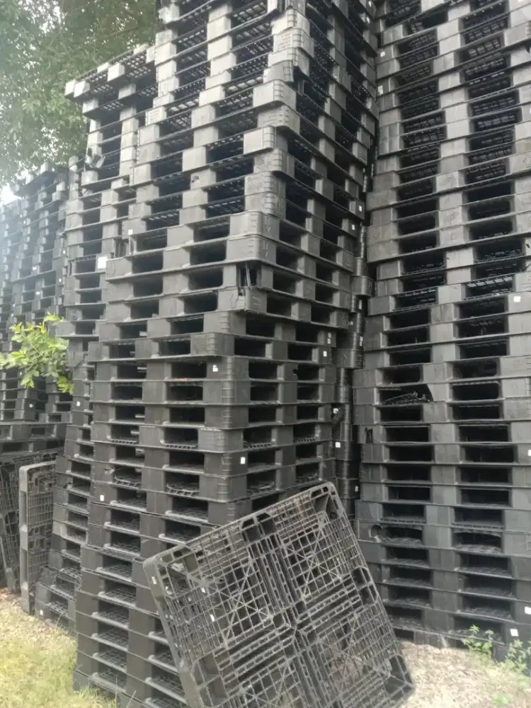 Palet Plastik Bekas