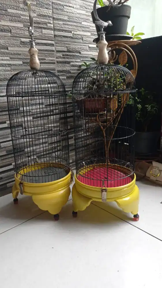 Kandang pleci PVC tebal