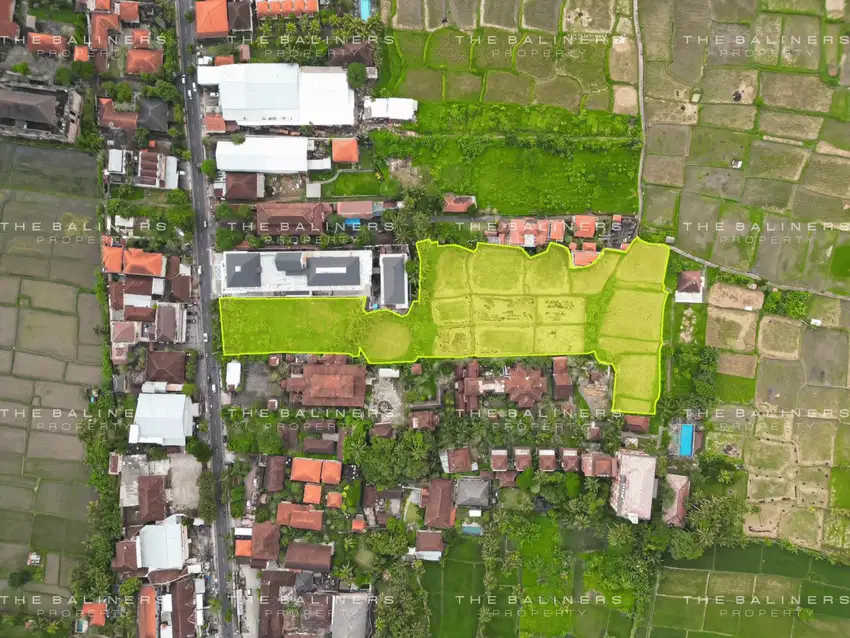 EXPANSIVE LAND WITH RICE FIELD VIEW IN UBUD