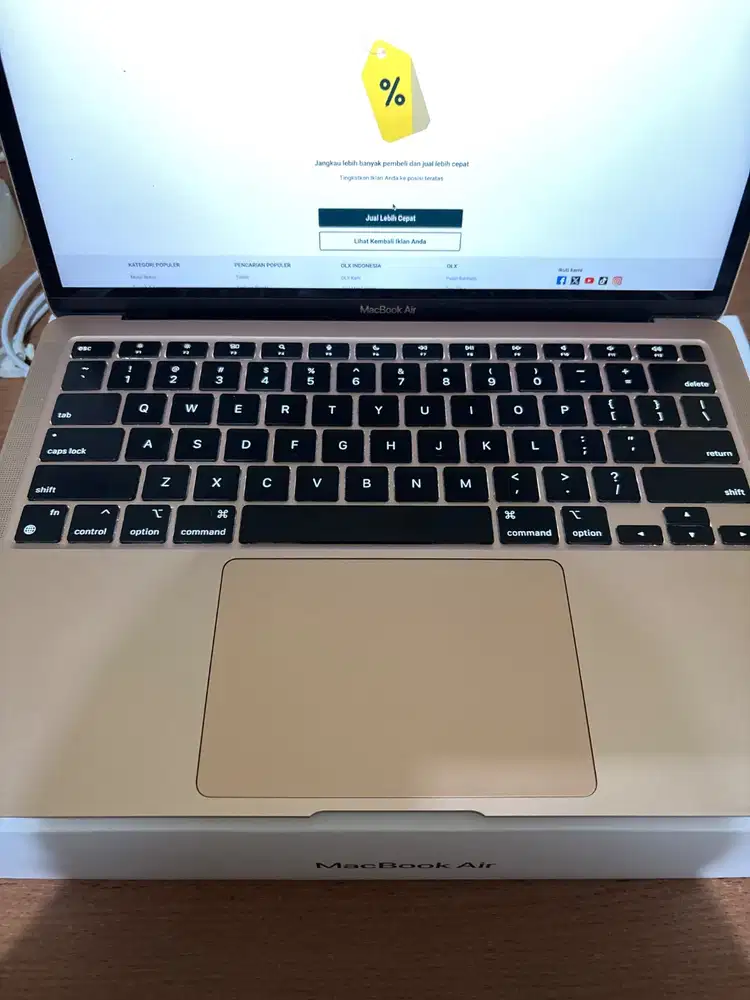 MacBook Air M1 2020 8/256 GB - Gold (Rosegold)