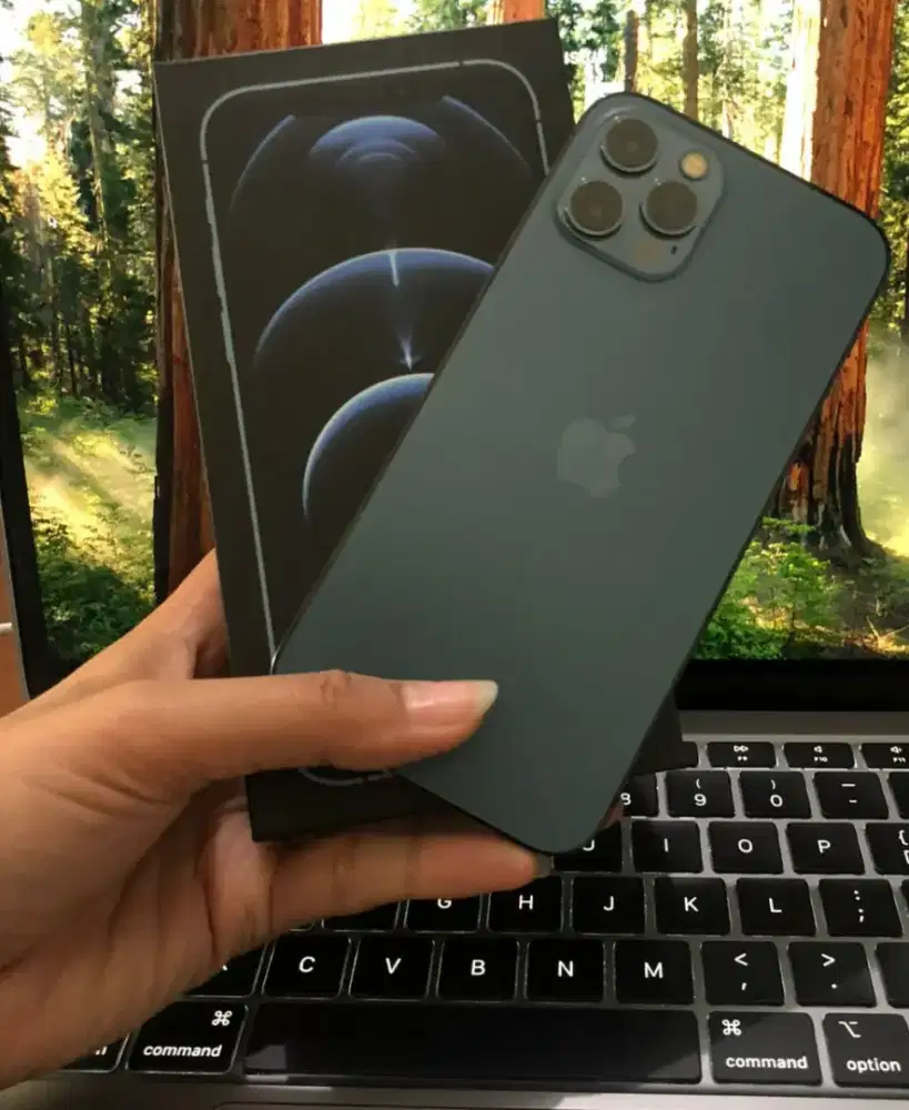 12 Pro inter Bea cukai