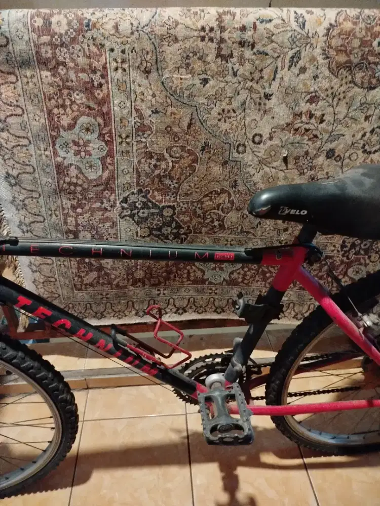 Sepeda gunung Thchinium