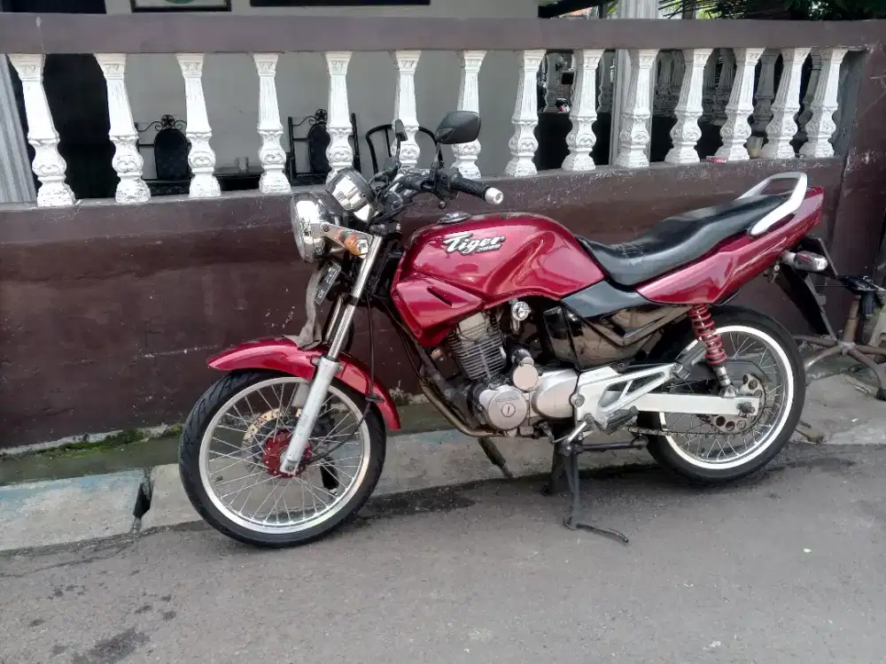Honda Tiger 2005