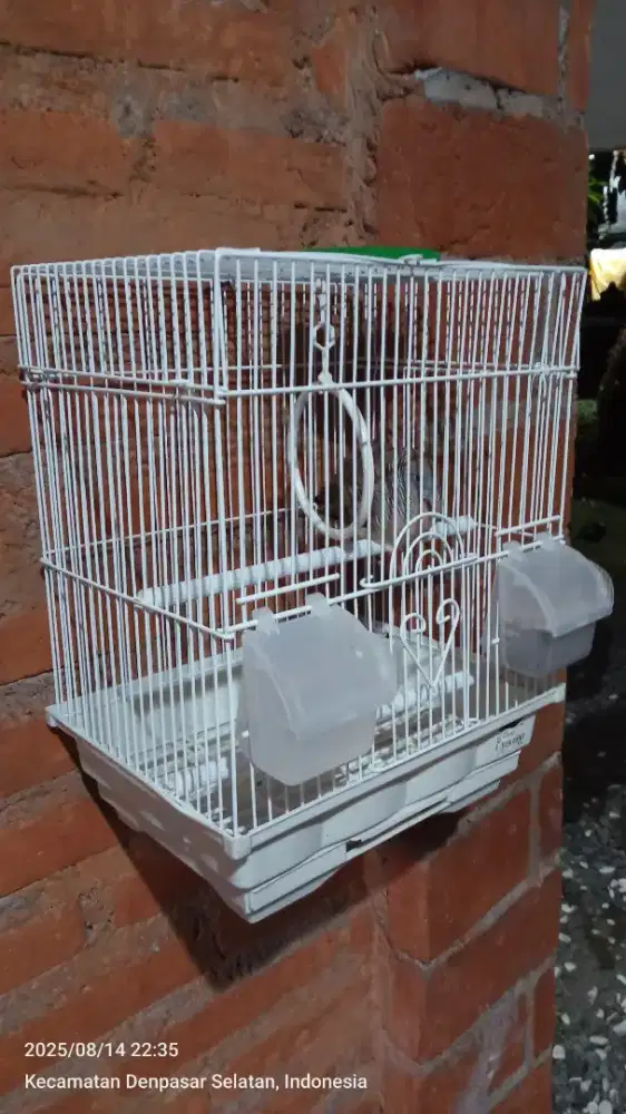 Kandang burung kotak besi tebal