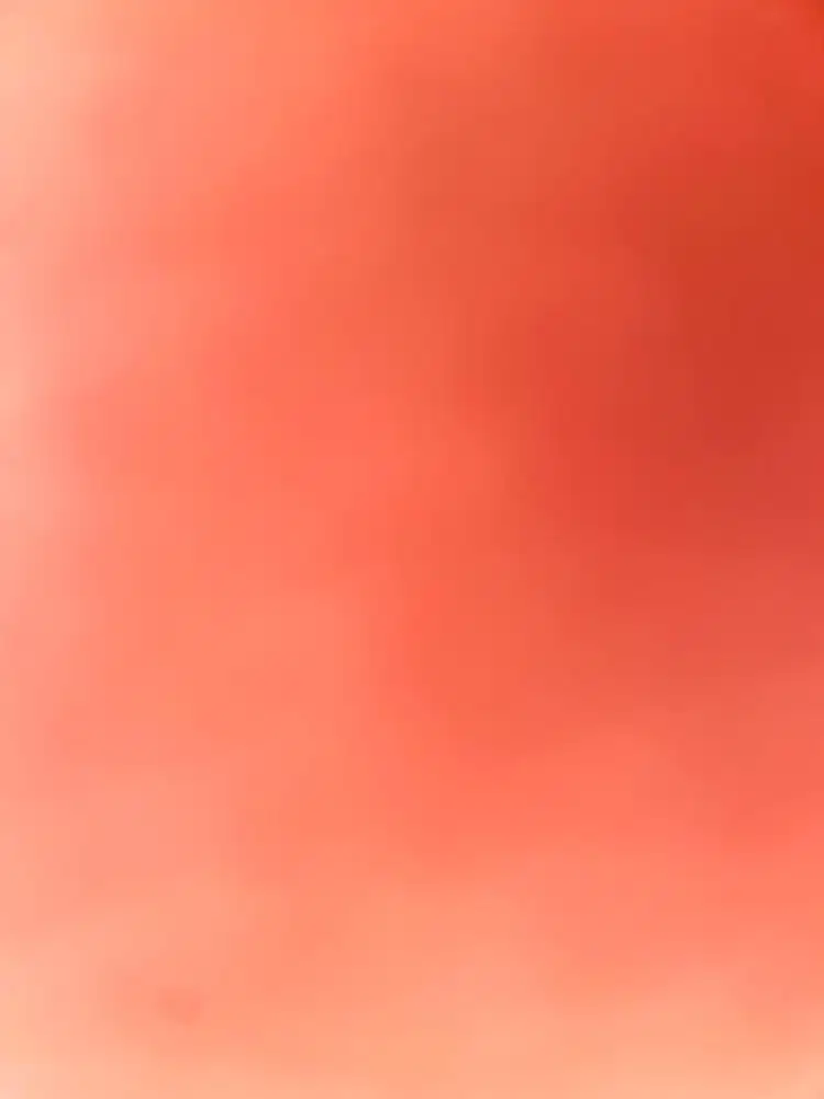 Asisten Rumah Tangga