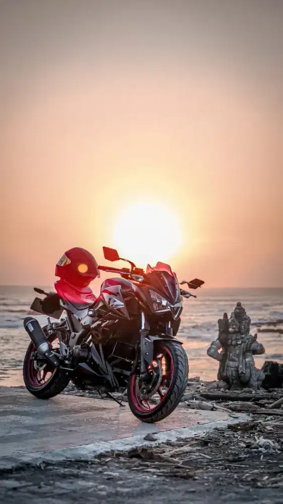 Kawasaki Z250 ABS 2016 Special Edition Black Red LOW KM