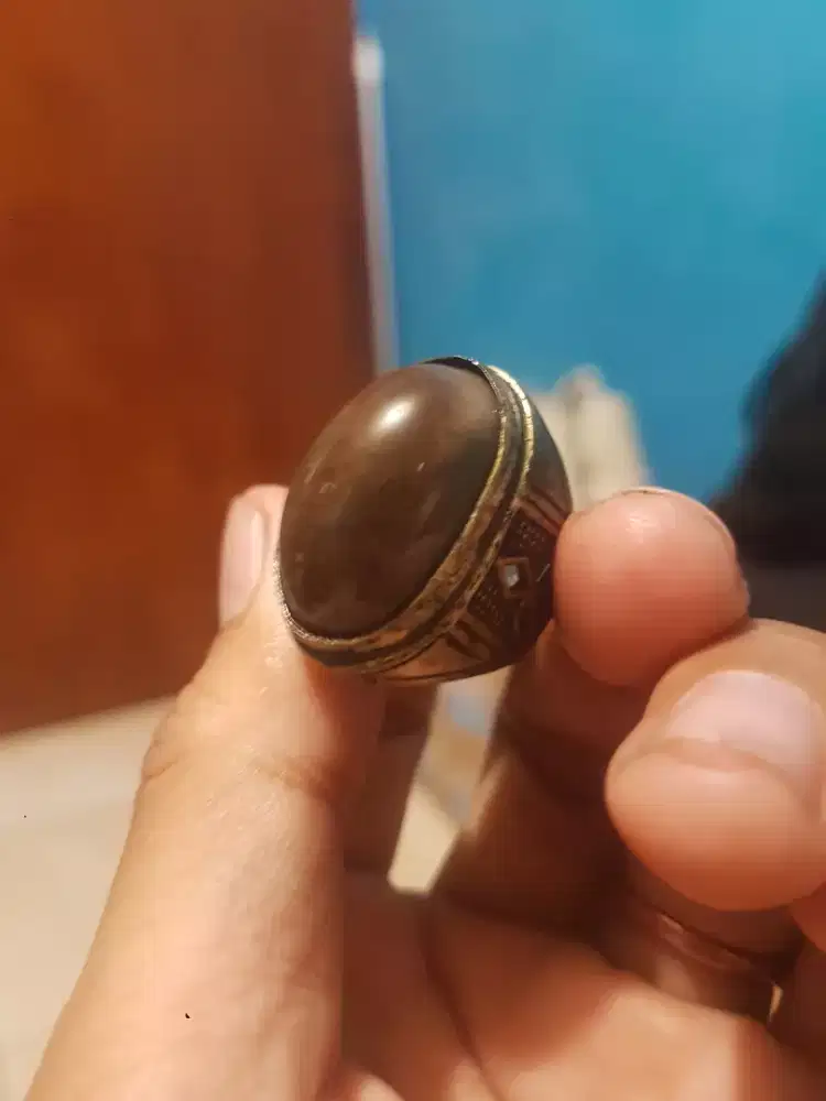 stigli laut mati ngurak langka