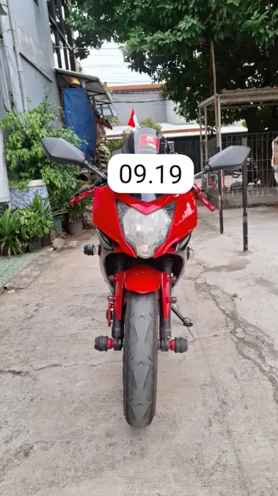 Kawasaki Ninja 250Sl Mono