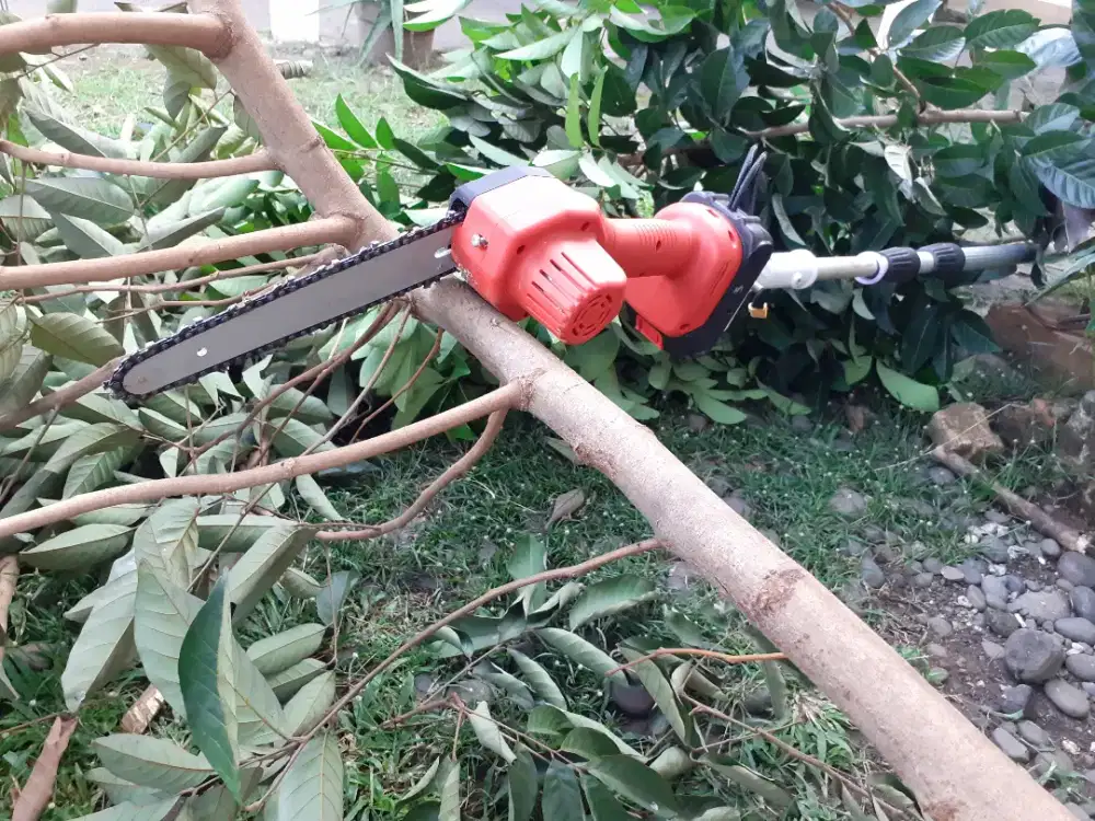 Galah Chainsaw 5 Meter Baterai 20v Lxt