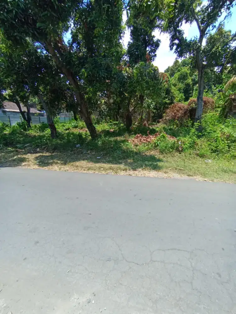 Tanah di kawasan elit LC baktiseraga singaraja