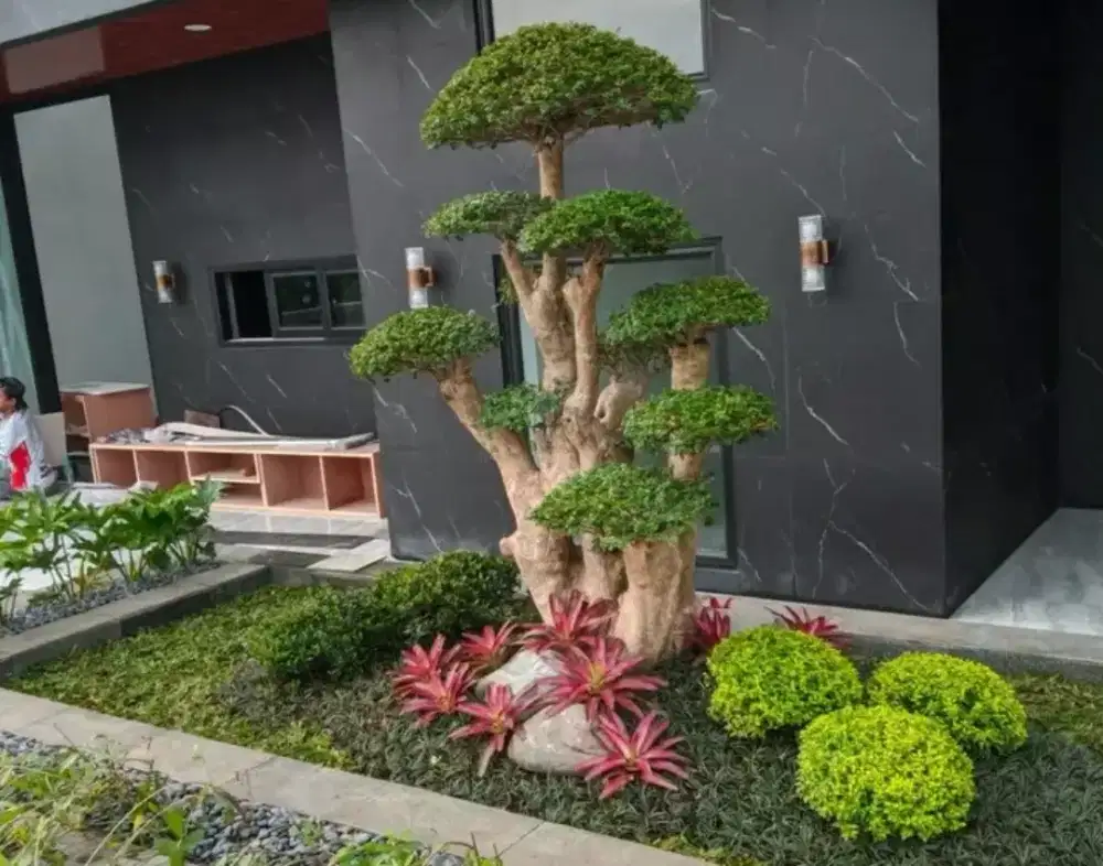 menerima pengerjakan taman desain pohon bonsai