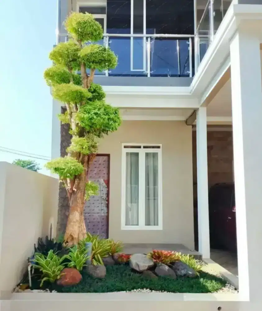 pohon bonsai anting putriu