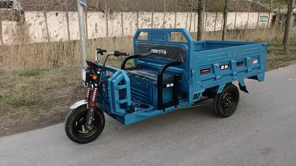 sepeda listrik cargo roda3