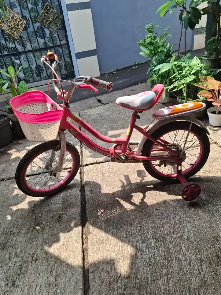 Sepeda anak perempuan sz 16