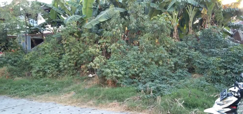 Dijual Tanah Komersial Area Raya Ketintang Madya Surabaya