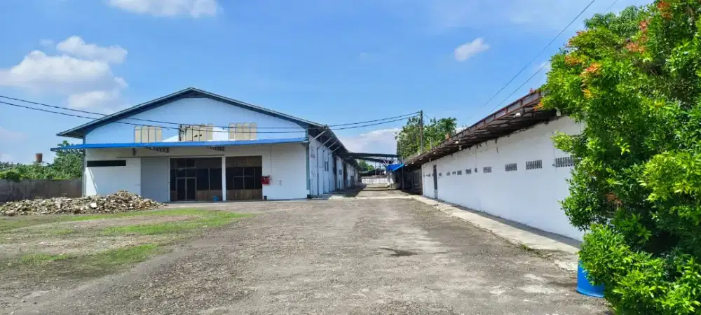 Di Jual Pabrik Rotan