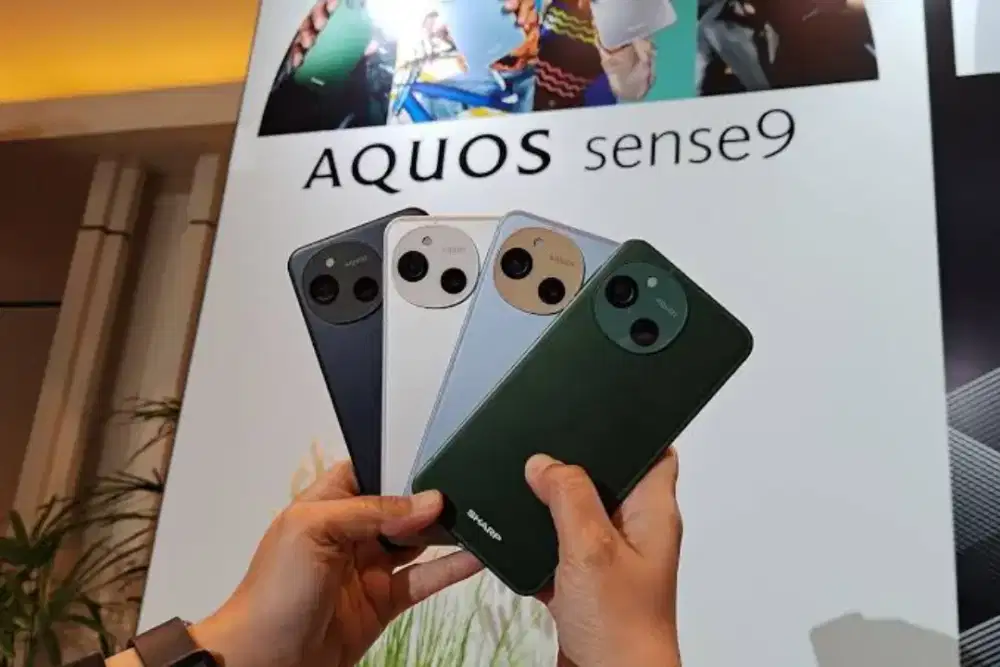 Sharp Aquos Sense9 Cash/Kredit