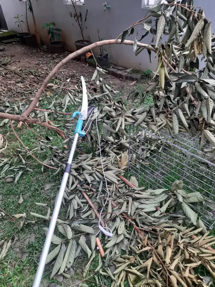 Galah 3 meter gergaji gunting pangkas pohon